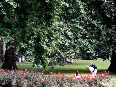 St. James's Park